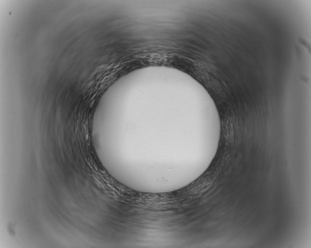 X0000102790962200808180950