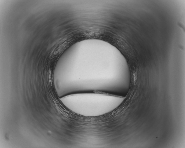 X0000102790963200808180950
