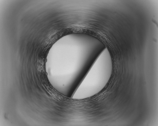 X0000102790964200808180950