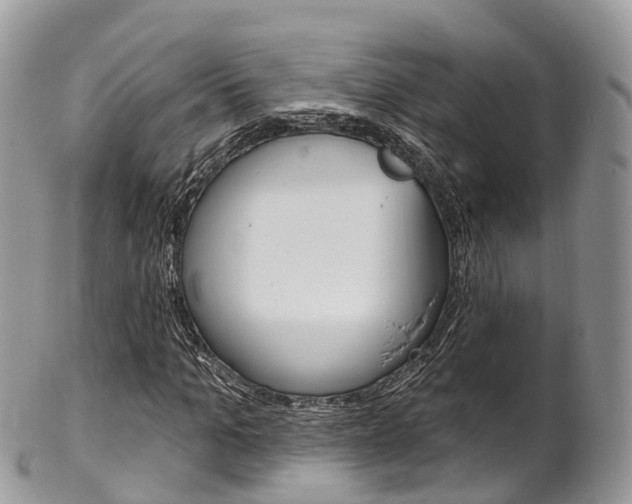 X0000102790965200808180950