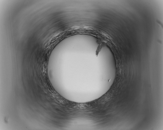 X0000102790966200808180950