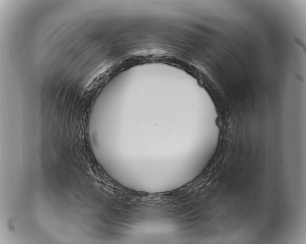 X0000102790967200808180950