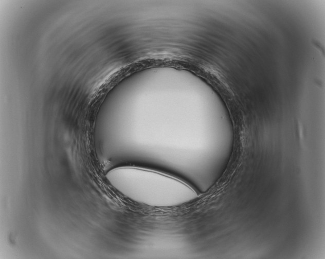 X0000102790968200808180950