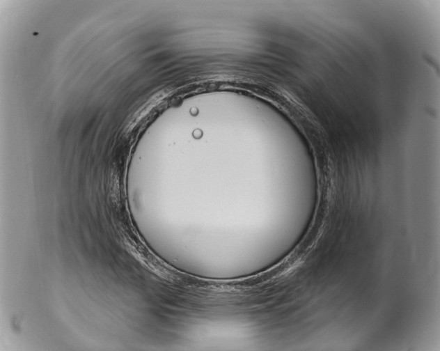 X0000102790969200808180950