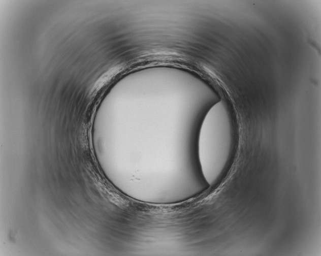 X0000102790970200808180950