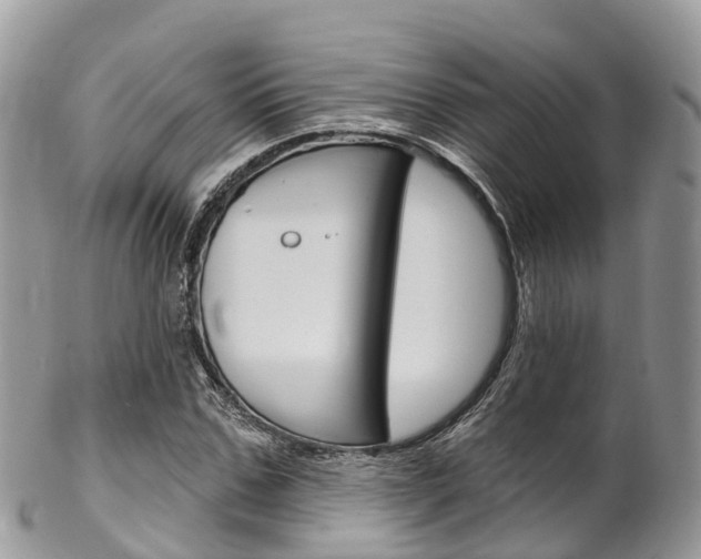 X0000102790971200808180950