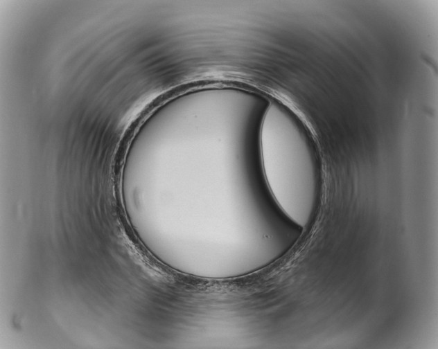 X0000102790972200808180950