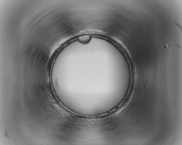 X0000102790973200808180950