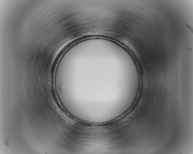 X0000102790976200808180950