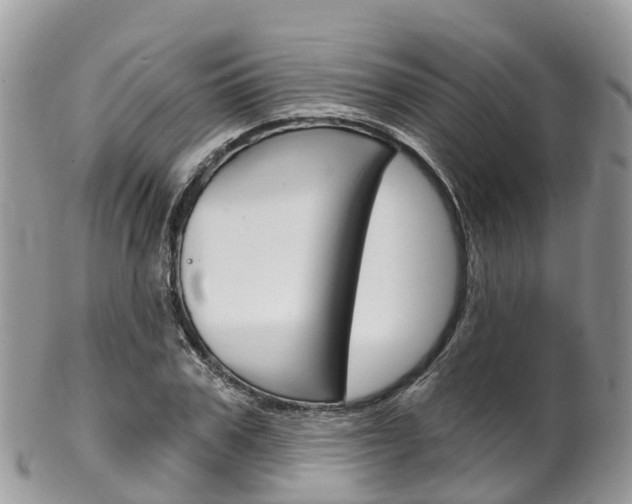X0000102790979200808180950