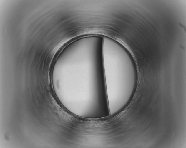 X0000102790980200808180950