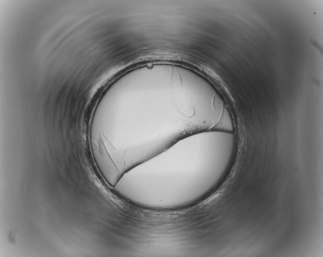 X0000102790981200808180950