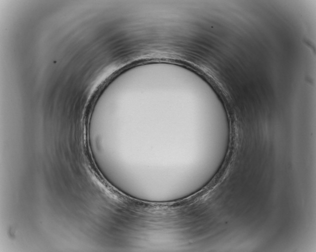 X0000102790982200808180950