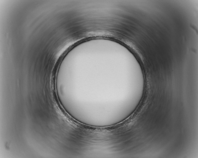 X0000102790983200808180950