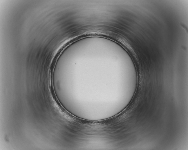 X0000102790984200808180950