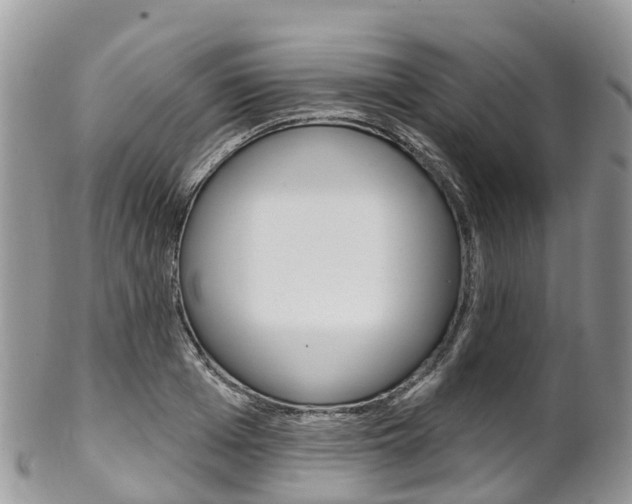 X0000102790985200808180950