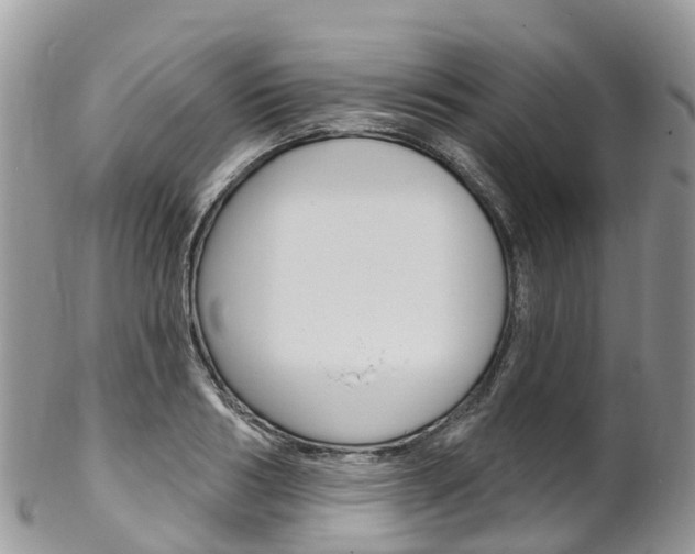X0000102790986200808180950