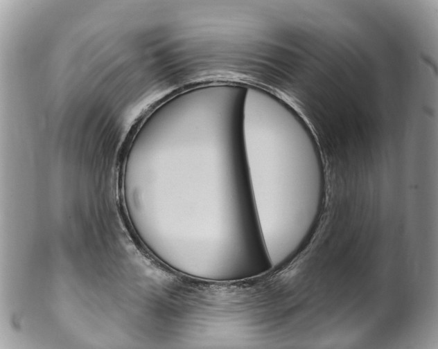 X0000102790987200808180950