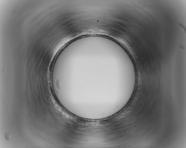 X0000102790990200808180950