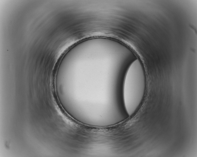 X0000102790991200808180950