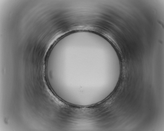 X0000102790992200808180950