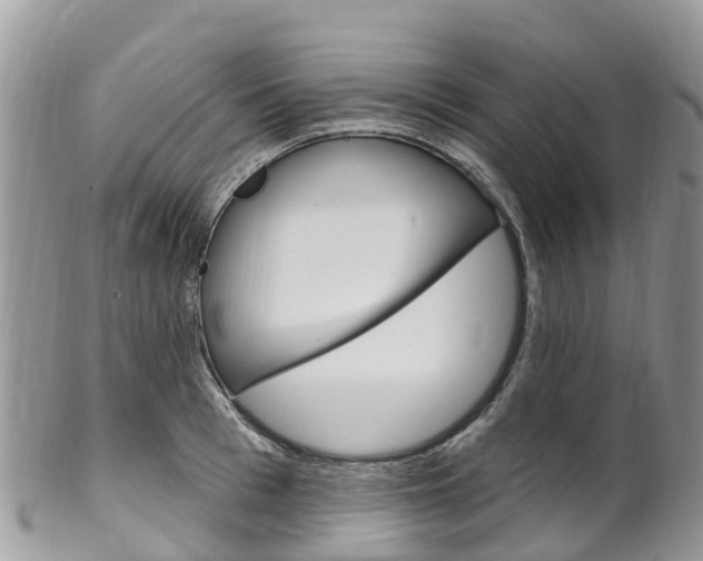 X0000102790993200808180950