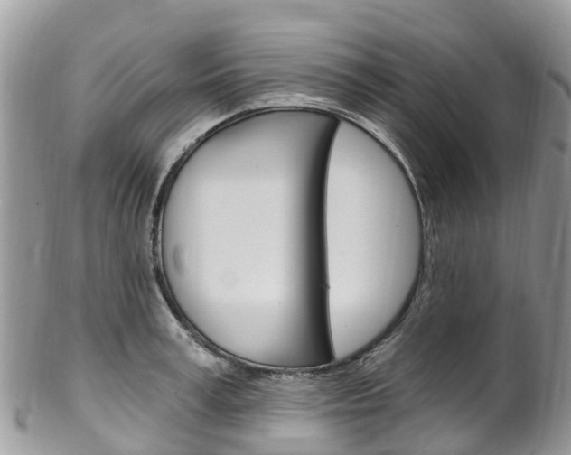 X0000102790995200808180949