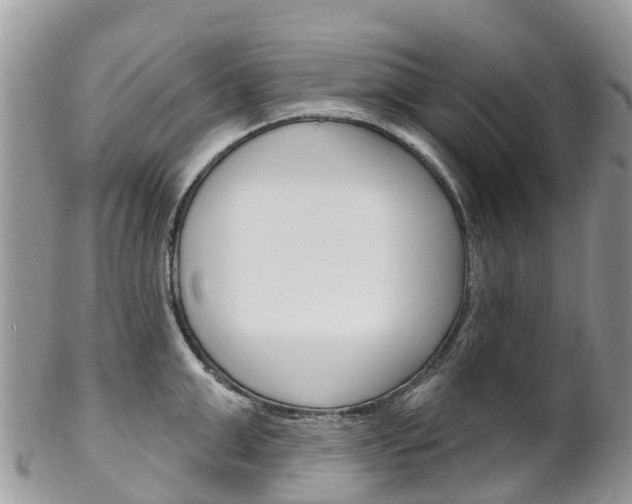 X0000102790999200808180949