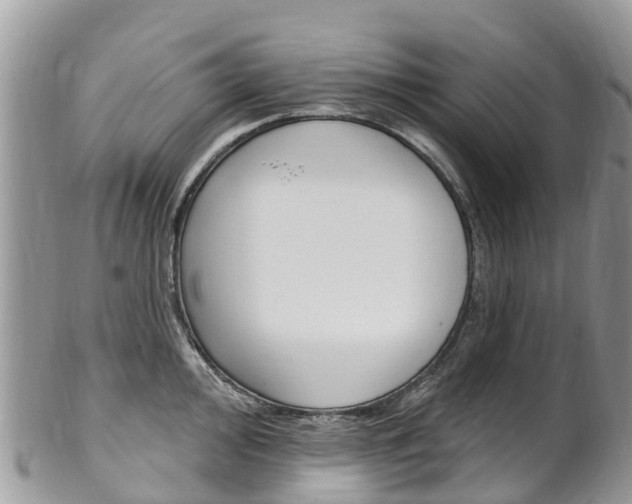 X0000102791000200808180949