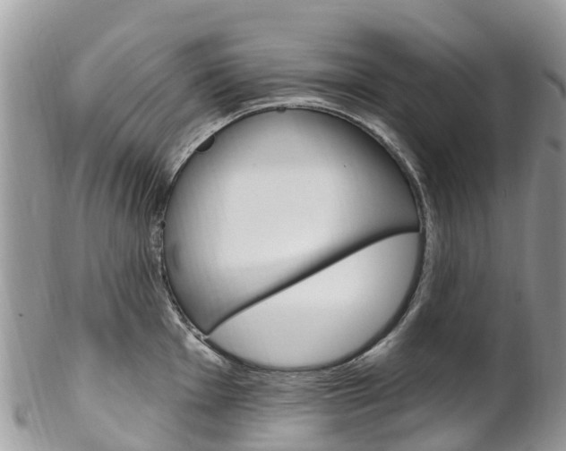 X0000102791001200808180949