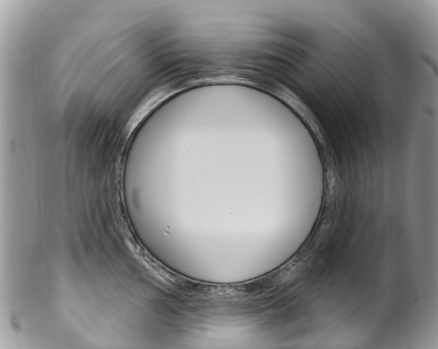 X0000102791002200808180949