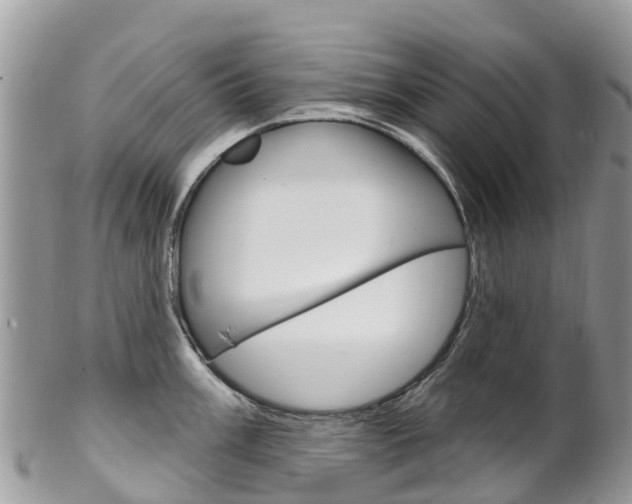 X0000102791003200808180949
