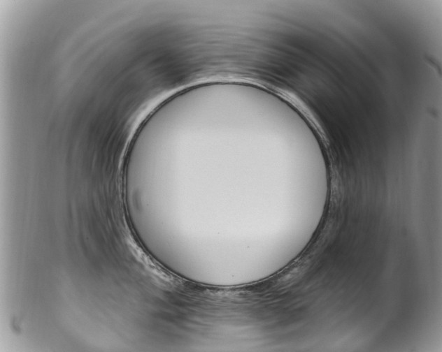 X0000102791004200808180949