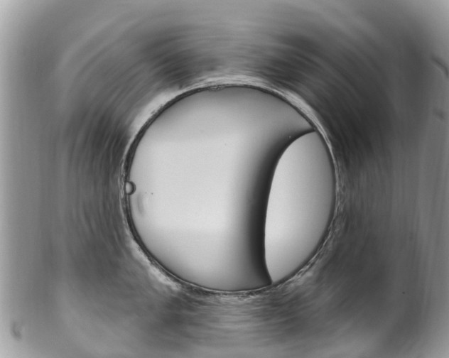 X0000102791005200808180949