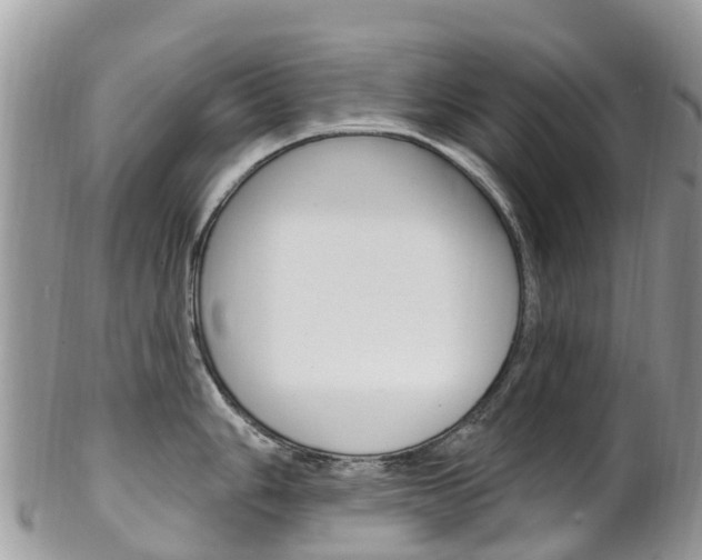 X0000102791006200808180949