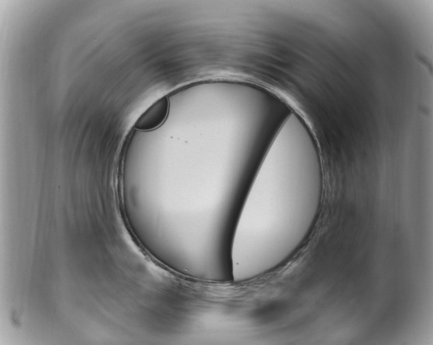 X0000102791007200808180949