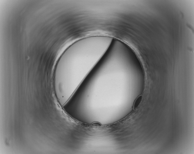 X0000102791008200808180949