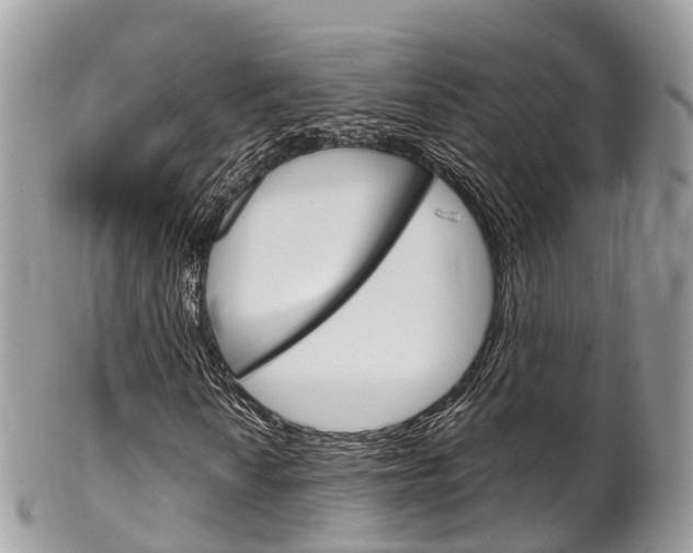 X0000102791010200808180949