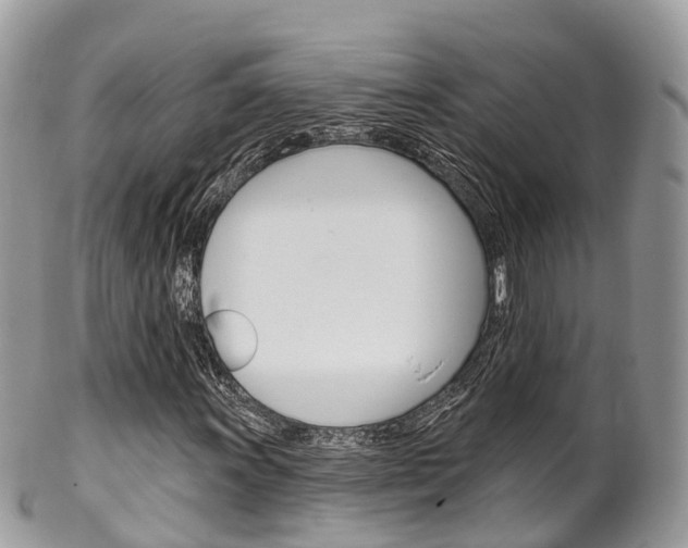 X0000102791011200808180949