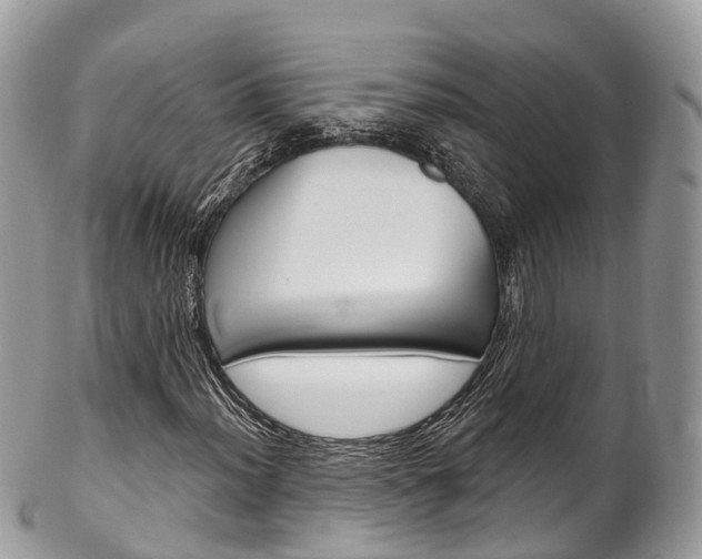 X0000102791012200808180949