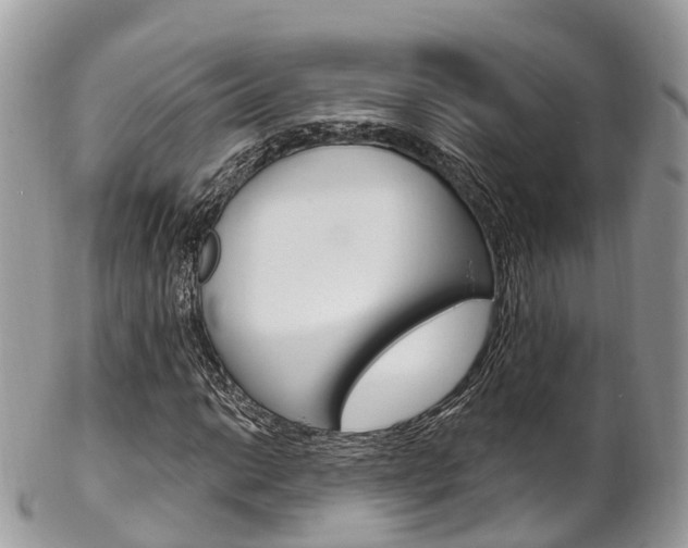 X0000102791014200808180949