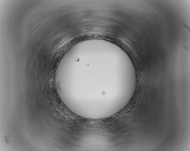X0000102791015200808180949