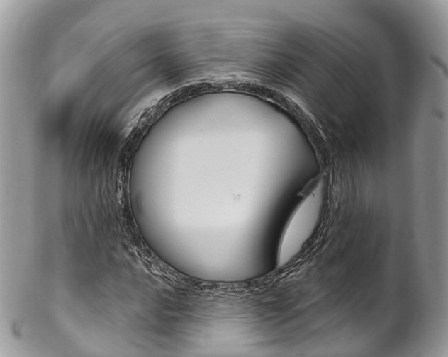 X0000102791016200808180949