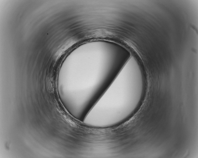 X0000102791018200808180949