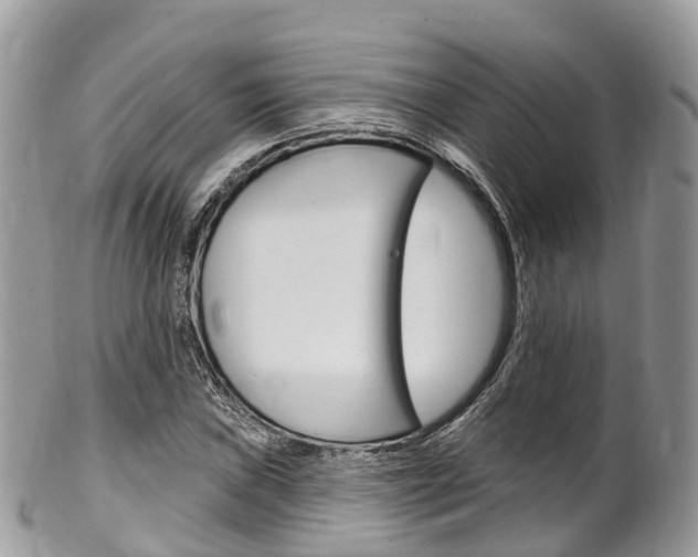 X0000102791019200808180949