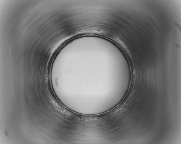X0000102791020200808180949