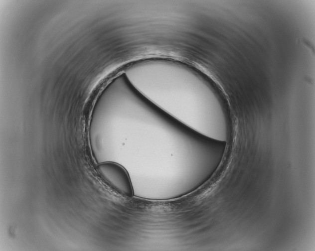 X0000102791021200808180949