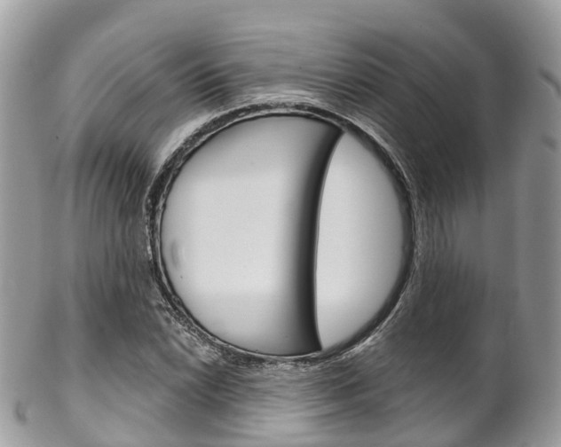 X0000102791022200808180949