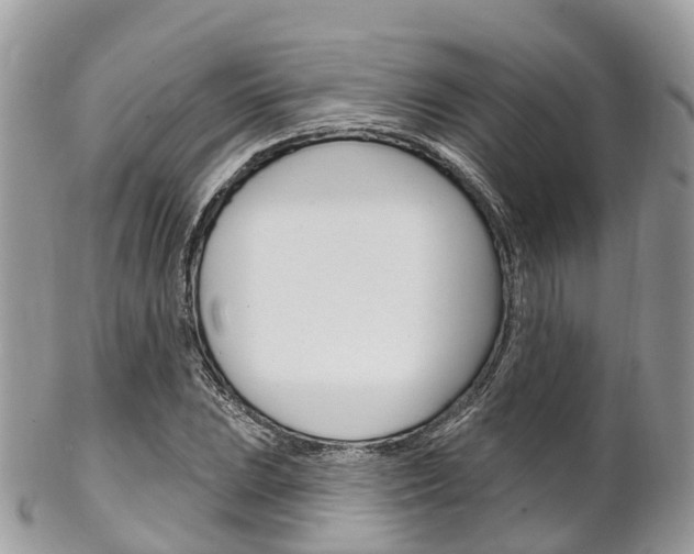 X0000102791023200808180949