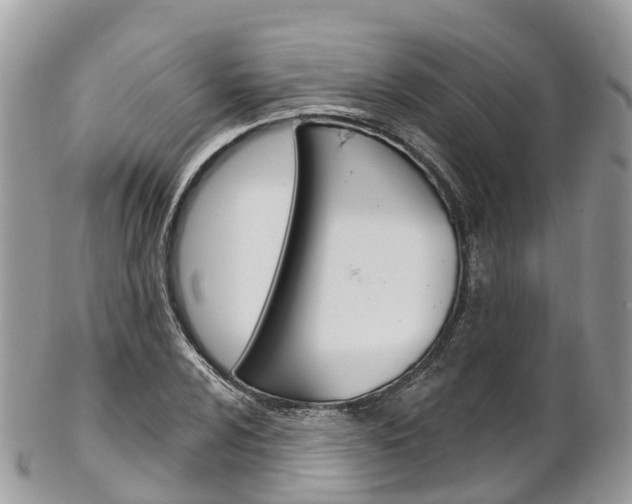 X0000102791024200808180949